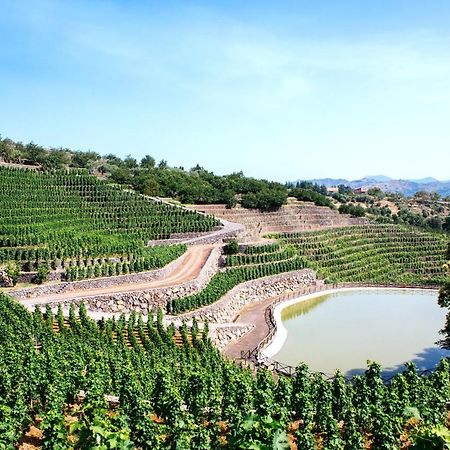 Villa La Gelsomina - Etna Presa Esterno foto