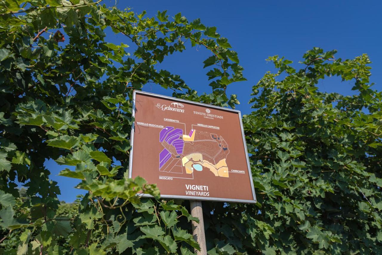 Villa La Gelsomina - Etna Presa Esterno foto