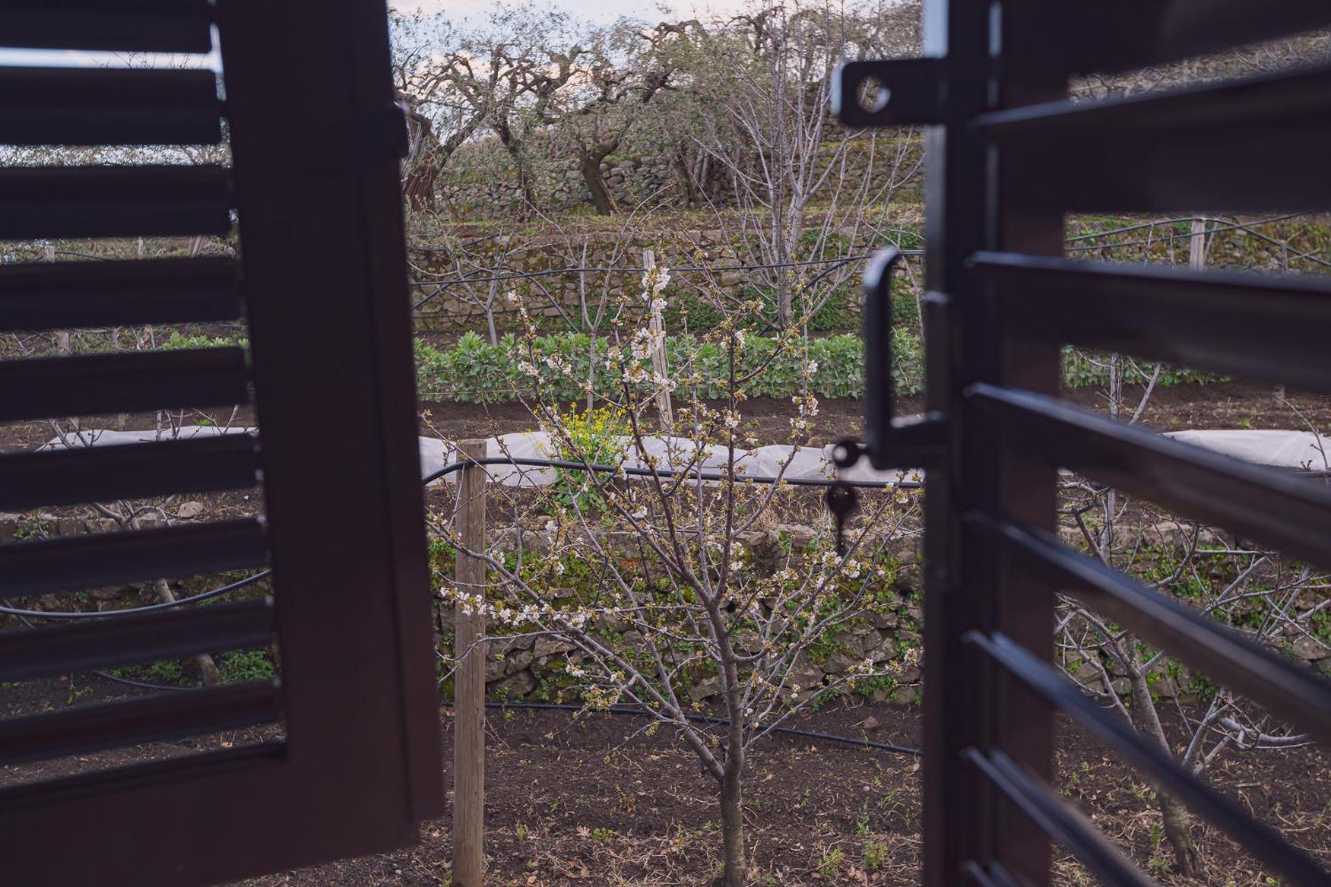 Villa La Gelsomina - Etna Presa Esterno foto